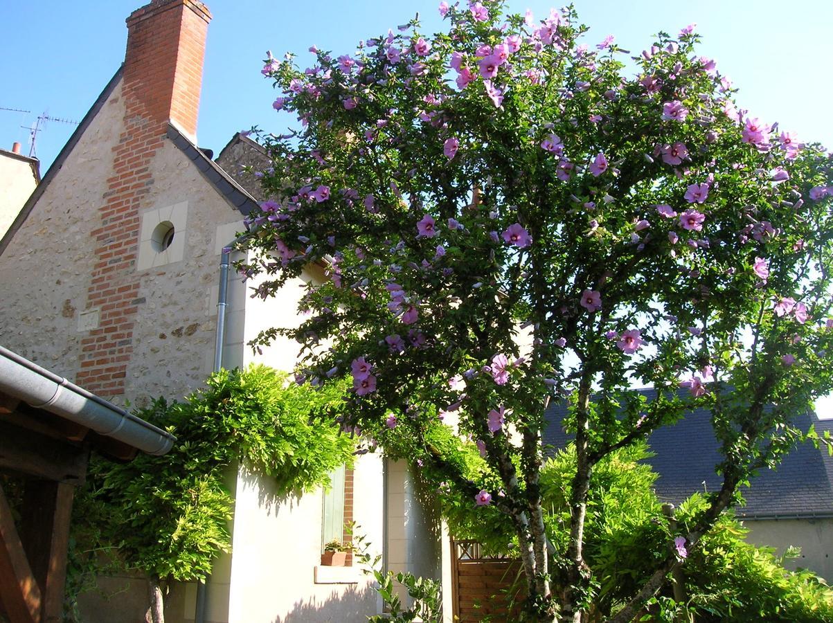 Hotel Le Petit Jardin Yoyo Monts Exterior foto
